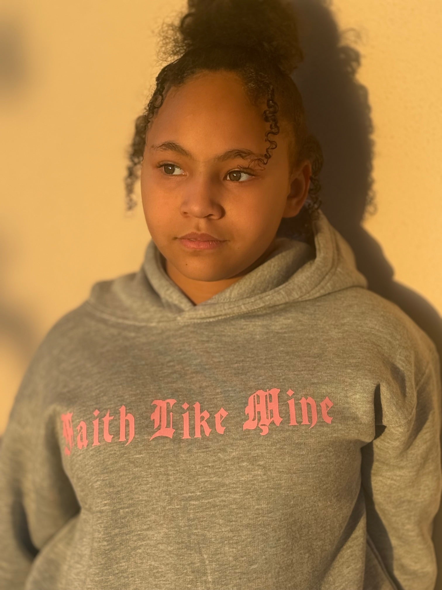 The Vision Made Plain Hoodie
